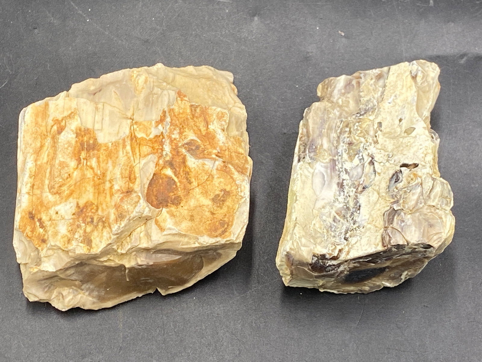 Petrified Wood, Fossil, Rock, Natural, Decor, Collectible, Fluorescent (1 of 5)