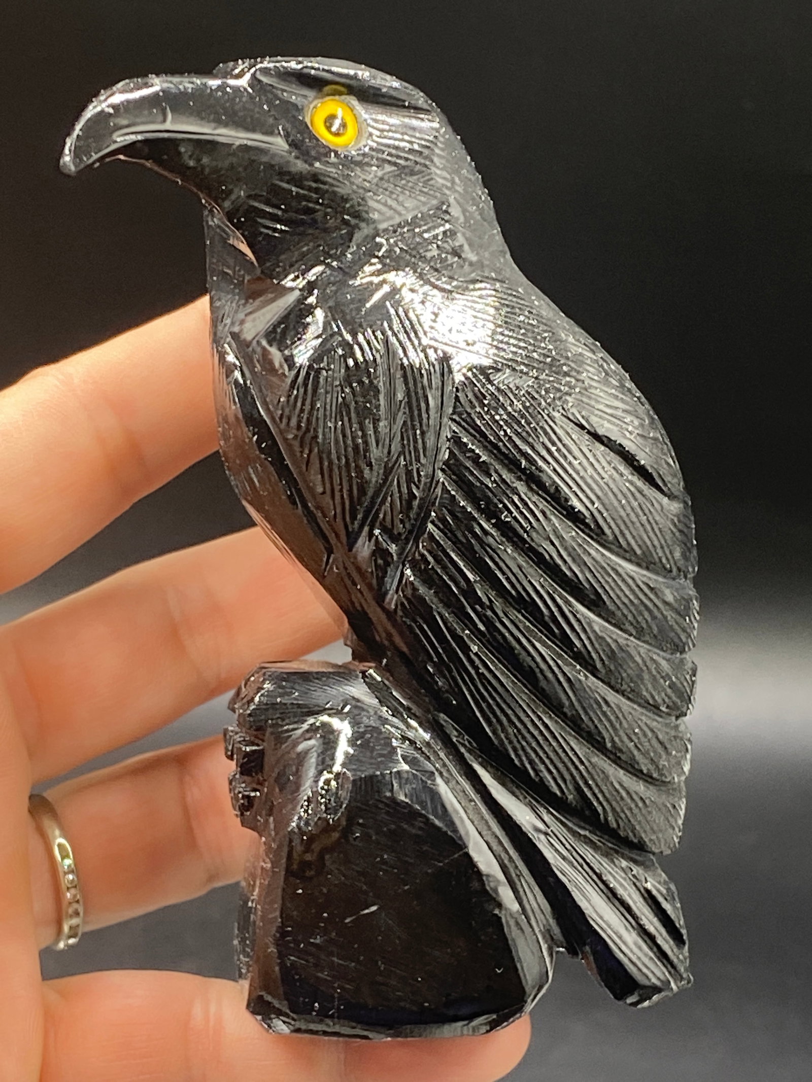 Rock, Crystal, Natural, Decor, Collectible, Carving, Raven,: Raven Black Onyx 4"