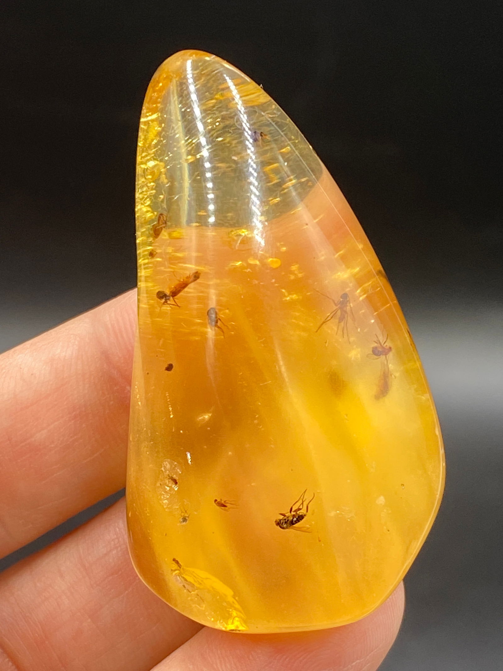 Amber, Fossil, Natural, Collectible, Specimen, Insect: Amber (Copal) with Insect Inclusion Colombia 14g