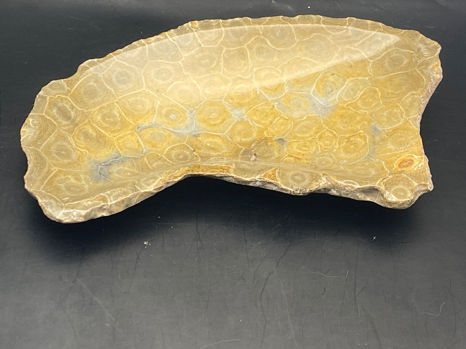 Fossil, Coral, Rock, Crystal, Natural, Decor, Collectible, Carving, Coin, Dish: Fossil Coral Coin Dish Morocco