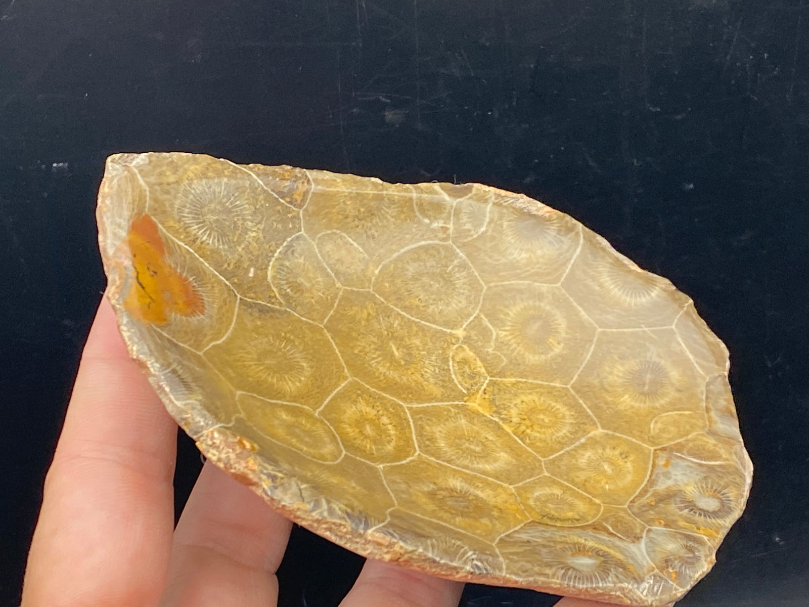 Rock, Crystal, Natural, Decor, Collectible, Carving, Soap Dish (1 of 5)