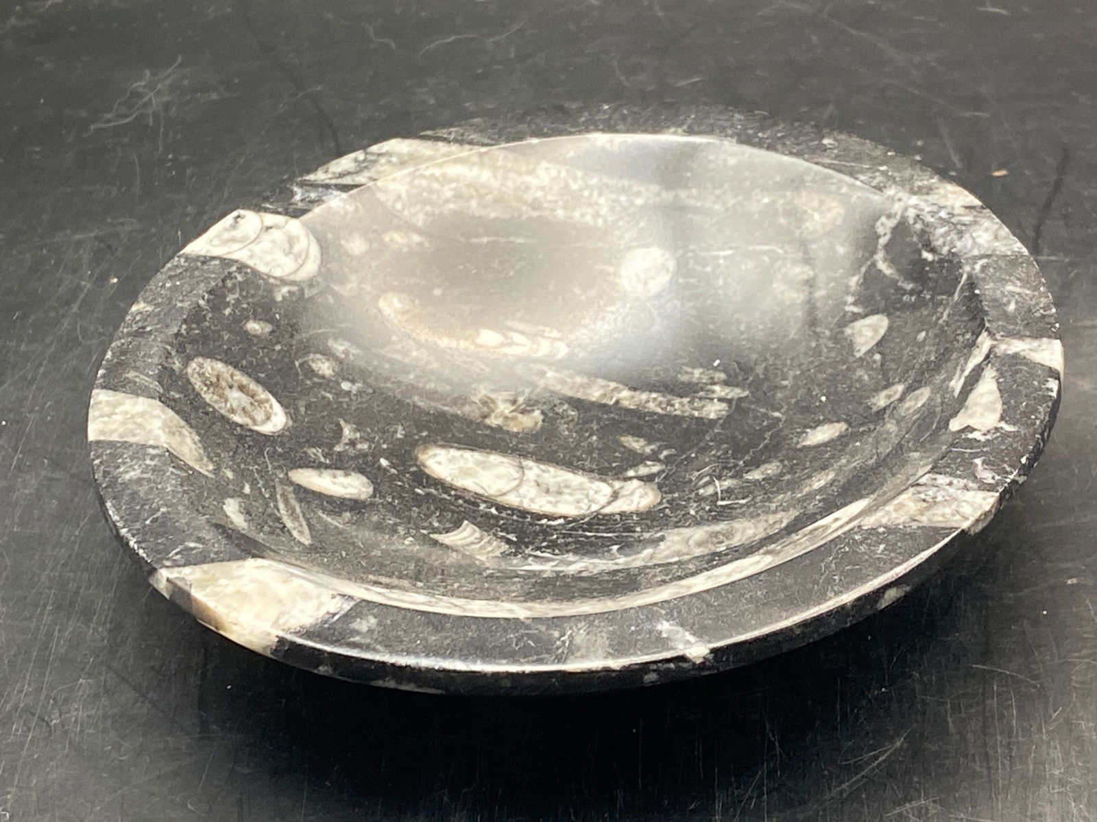 Orthoceras, Fossil, Rock, Natural, Decor, Collectible, Bowl: Fossil Orthoceras in Marble Bowl Morocco