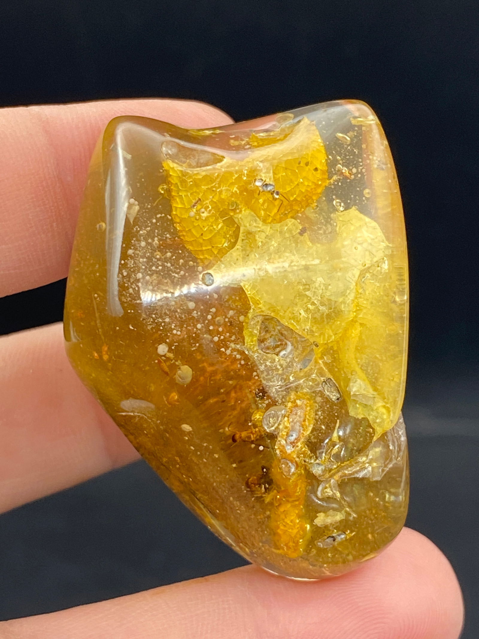 Amber, Fossil, Natural, Collectible, Specimen, Insect: Amber (Copal) with Insect Inclusion Colombia 14g