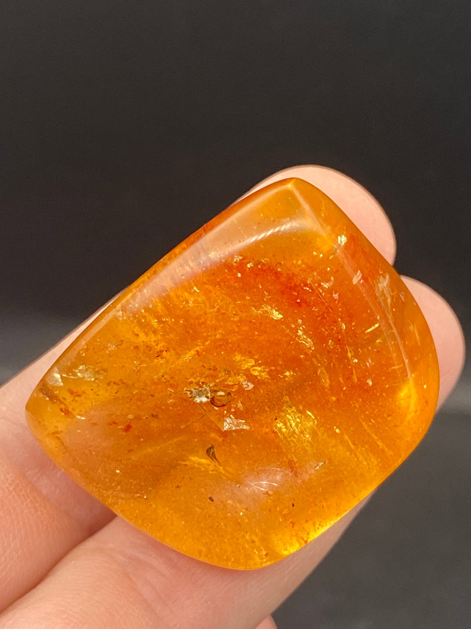 Amber, Fossil, Natural, Collectible, Specimen, Insect (1 of 5)