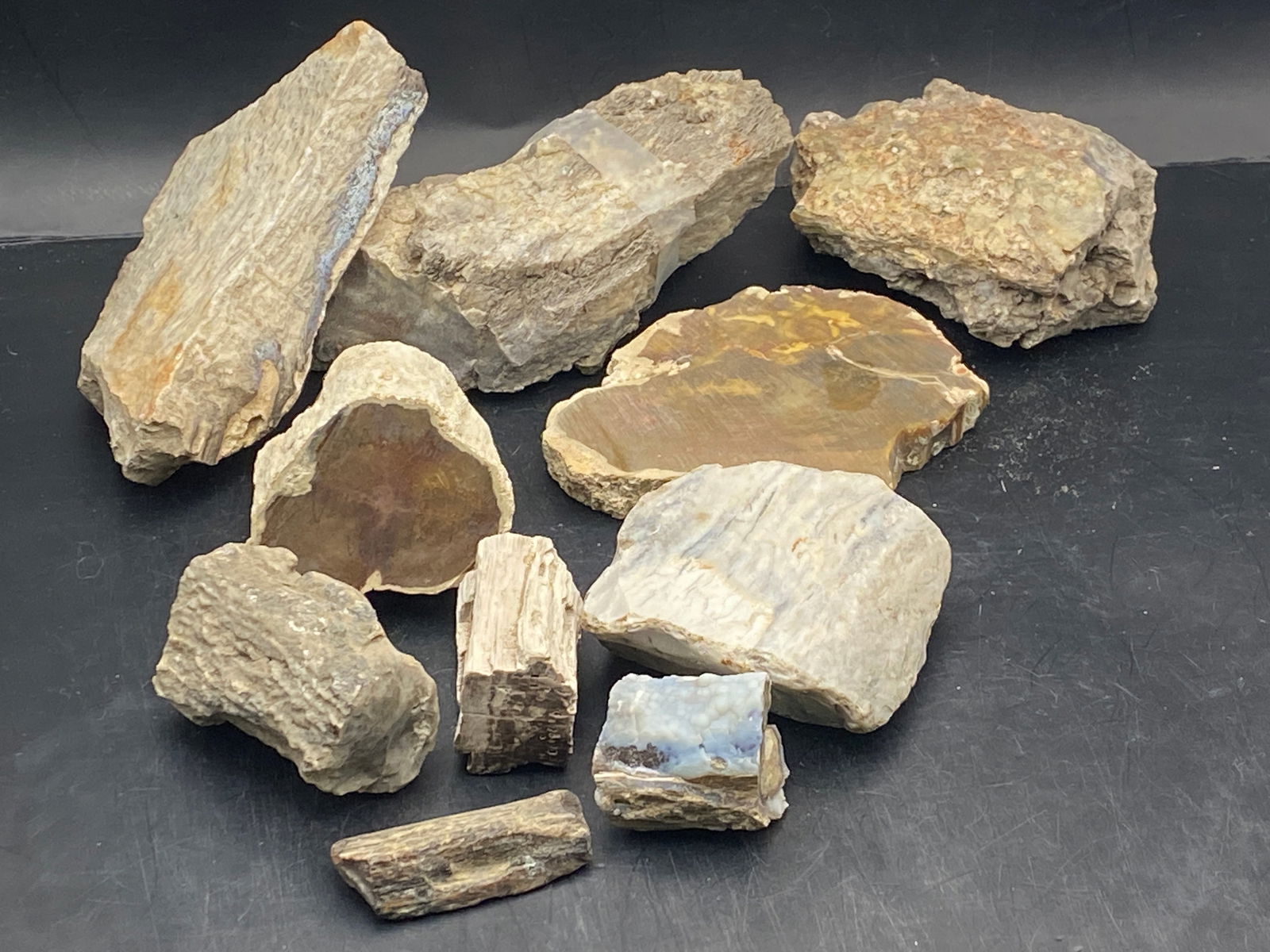 Petrified Wood, Fossil, Rock, Natural, Decor, Collectible,: Petrified Wood Mix US Locations 3lb 5oz