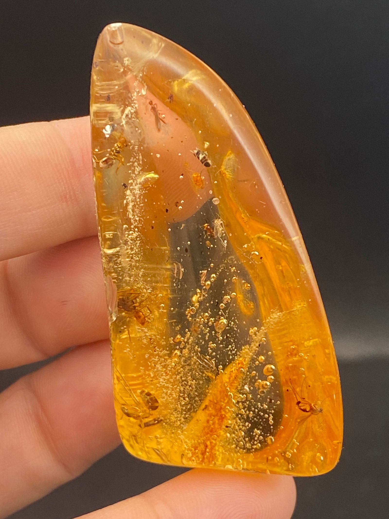 Amber (Copal) Spider and Insect Inclusion Colombia  10-11 million years old 21g (1 of 6)