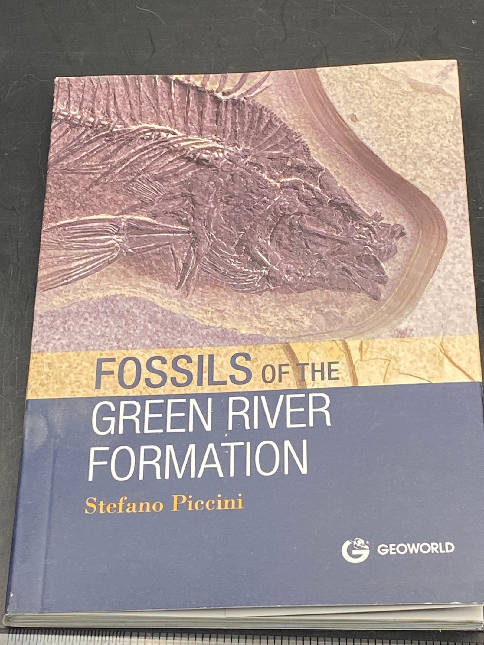 "Fossils of the Green River Formation" Book (1 of 5)