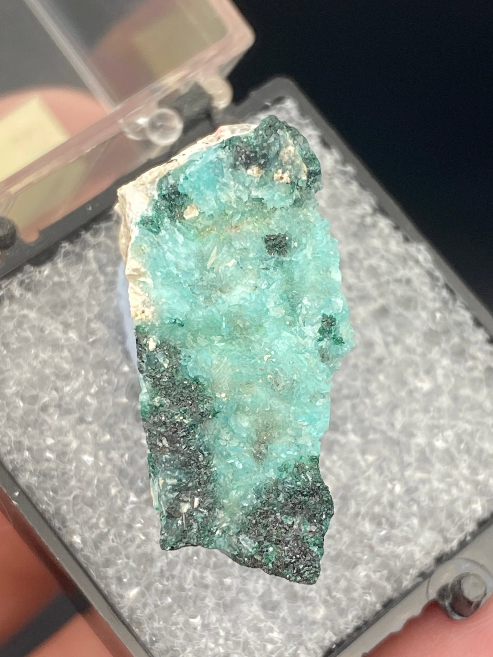 Leightonite Chile Charlie Hall Collection: Rock, Crystal, Natural, Collectible, Mineral, Specimen