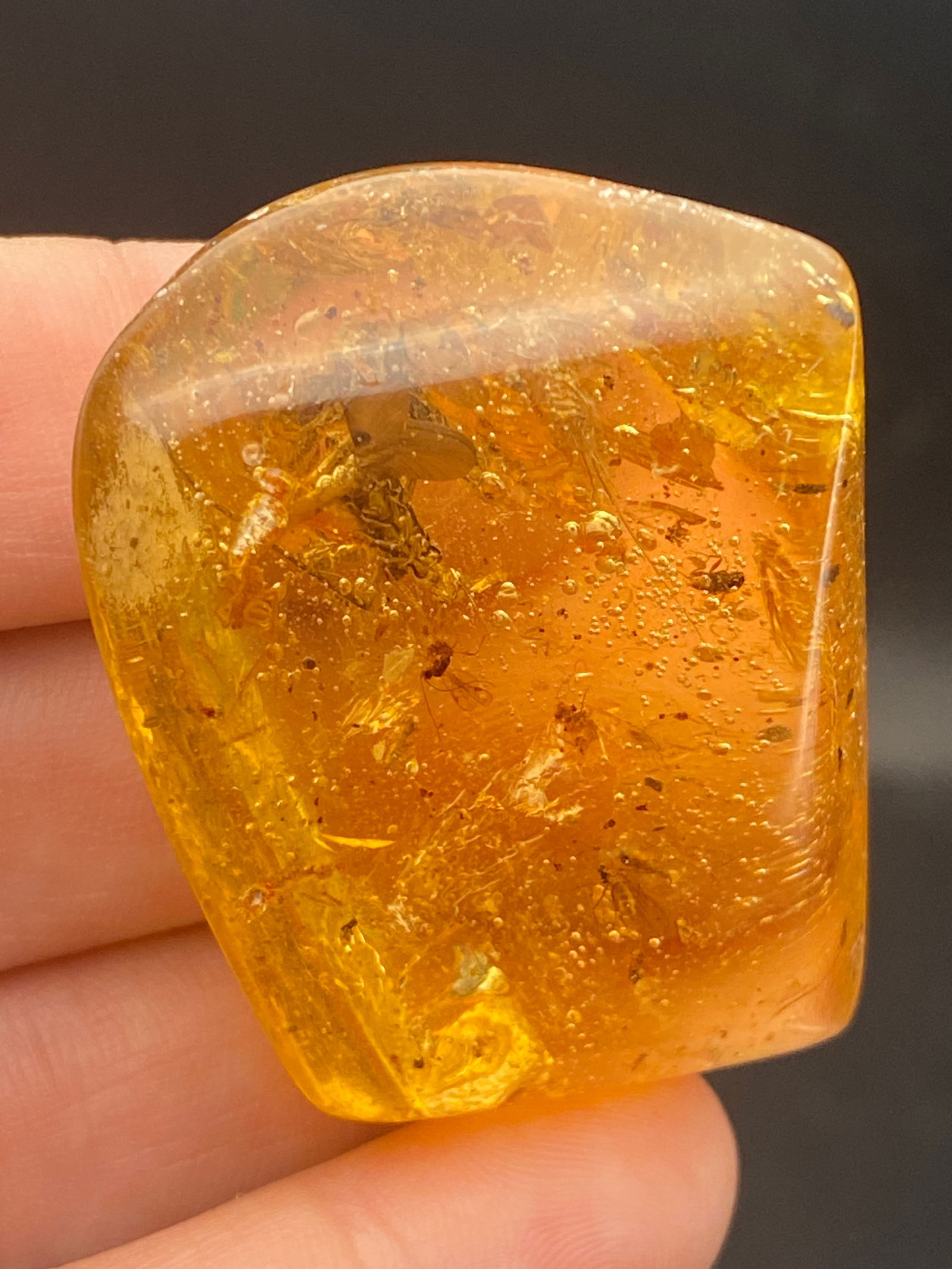 Amber (Copal) with Insect Inclusion Colombia 14g 10-11 million years old: Amber, Fossil, Natural, Collectible, Specimen, Insect