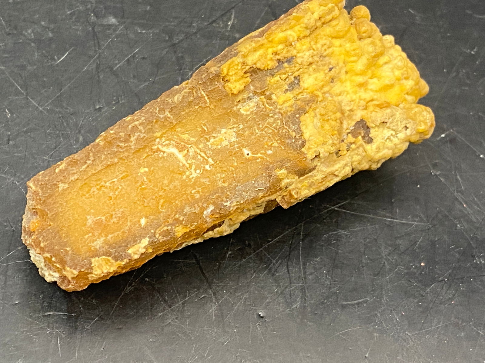 Agatized Coral FL 2oz (1 of 6)