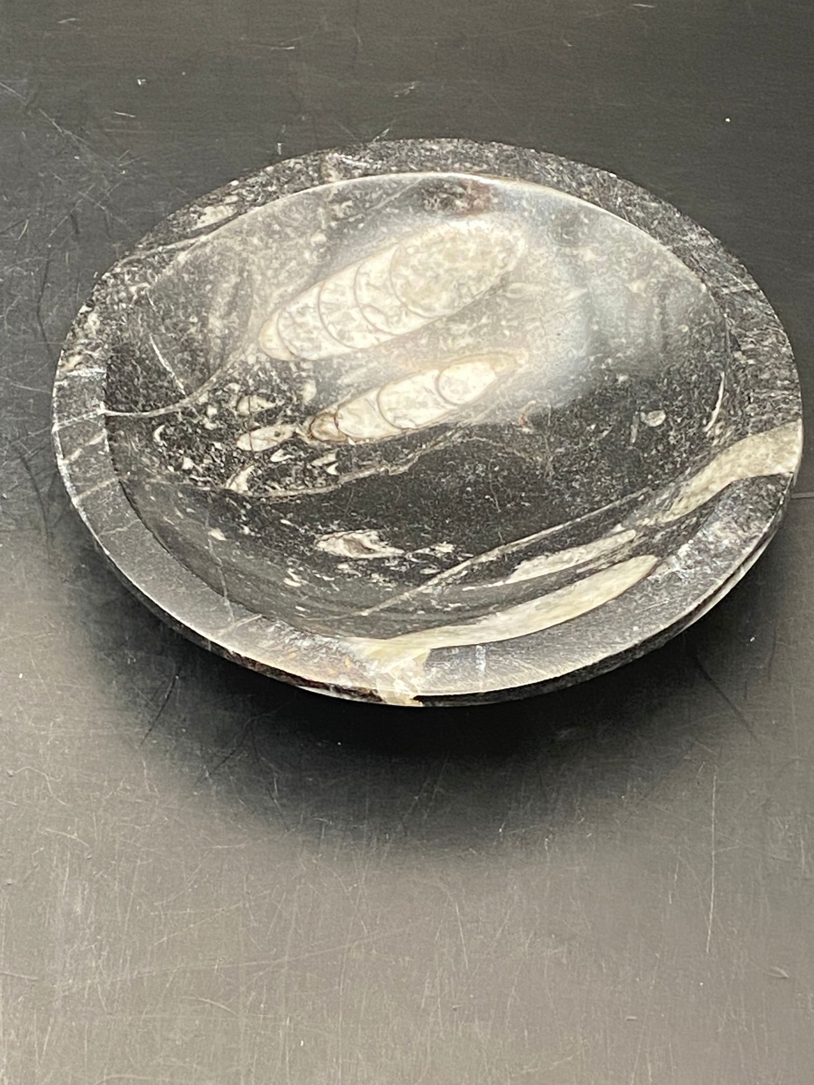 Fossil Orthoceras in Marble Bowl Morocco 4": Orthoceras, Fossil, Rock, Natural, Decor, Collectible, Bowl