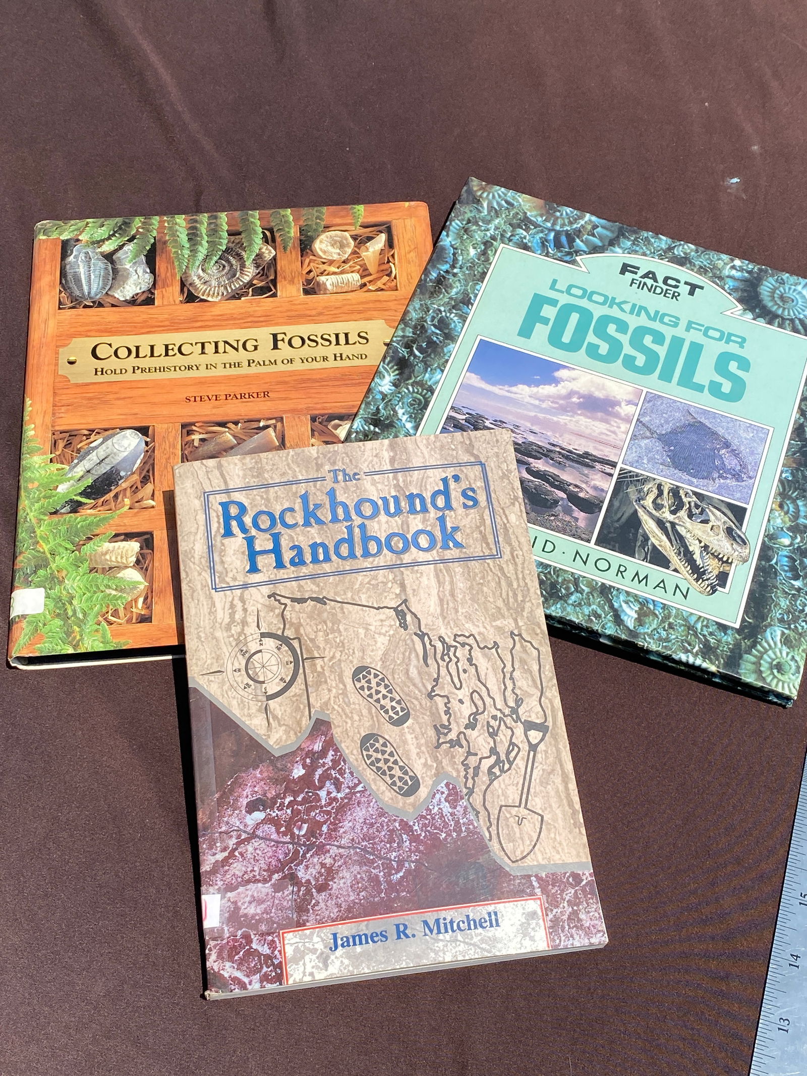 3 Collector References: "The Rockhounds Handbook", "Looking for Fossils", "Collecting Fossils" (1 of 5)