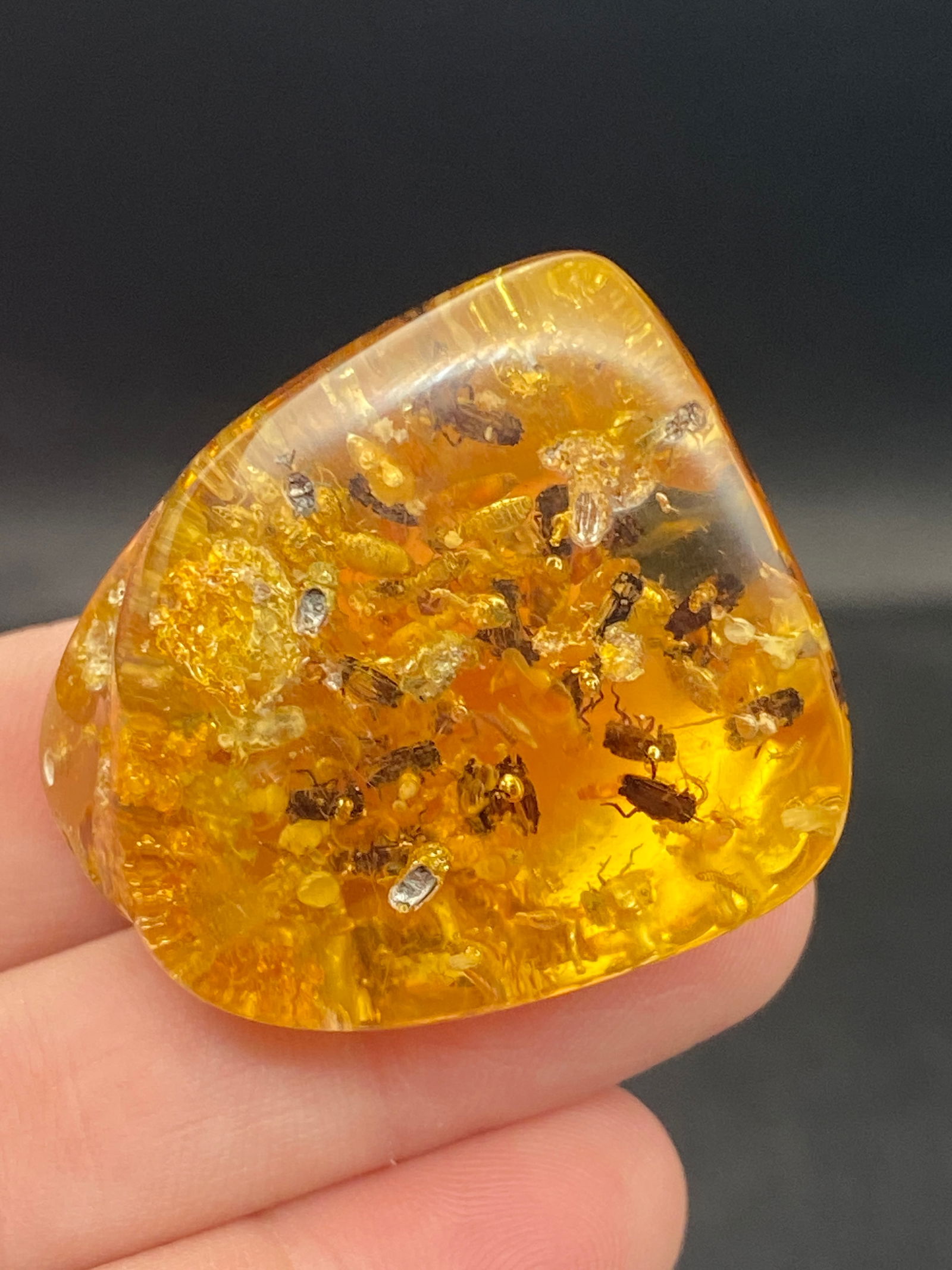 Amber, Fossil, Natural, Collectible, Specimen, Insect: Amber (Copal) with Insect Inclusions Colombia 10-11 M.Y.O. 14g