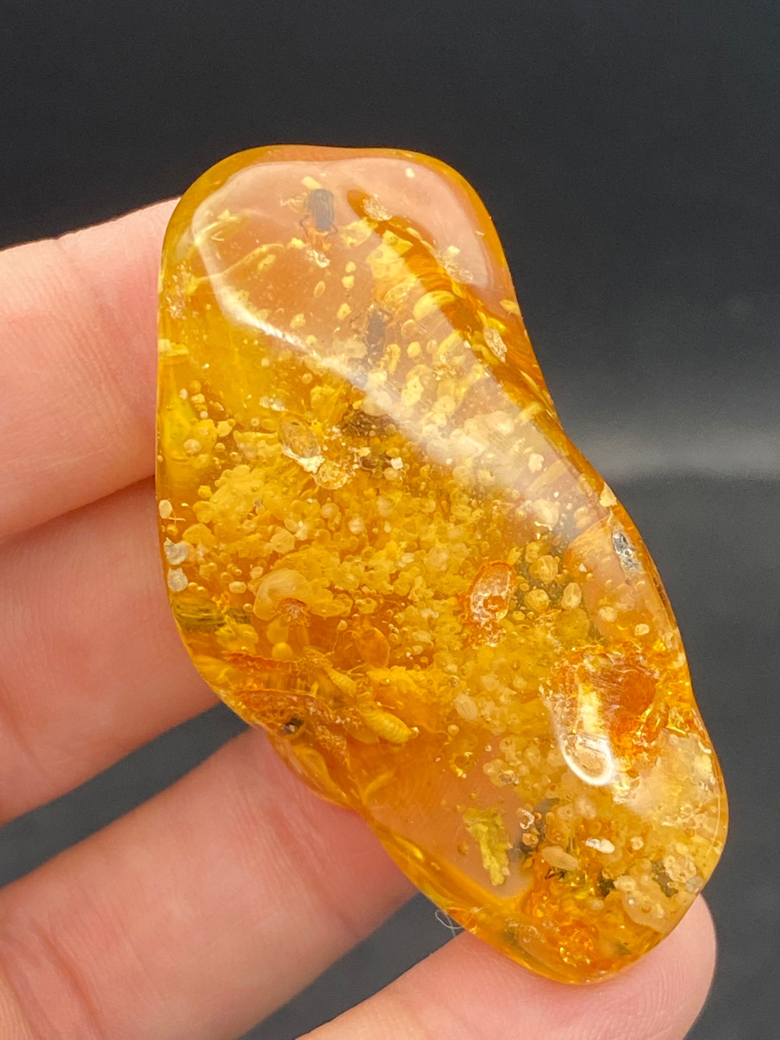 Amber, Fossil, Natural, Collectible, Specimen, Insect: Amber (Copal) with Insect Inclusion Colombia 10-11 M.Y.O. 16g