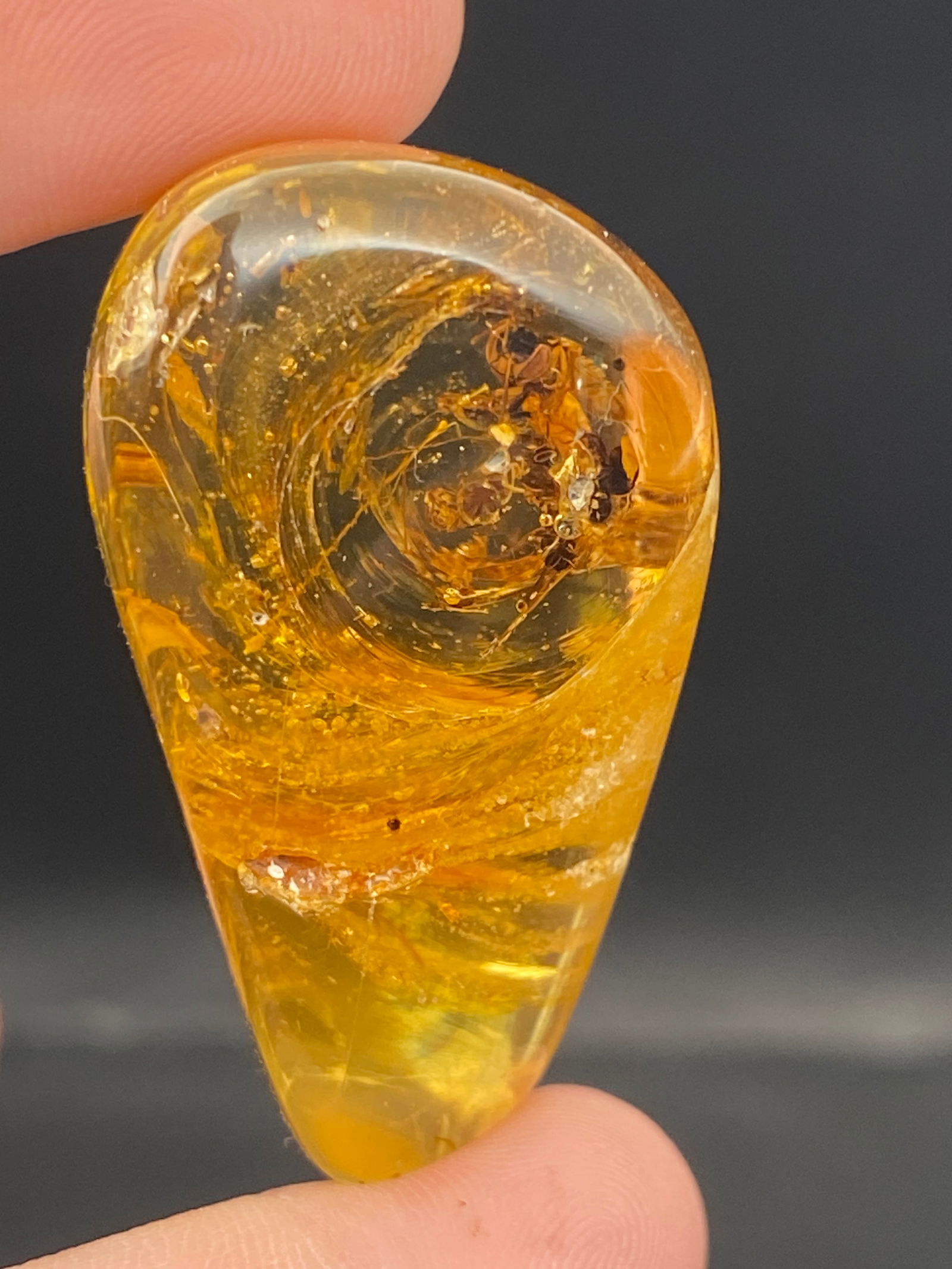 Amber, Fossil, Natural, Collectible, Specimen, Insect: Amber (Copal) with Insect Inclusion Colombia 10-11 M.Y.O. 14g