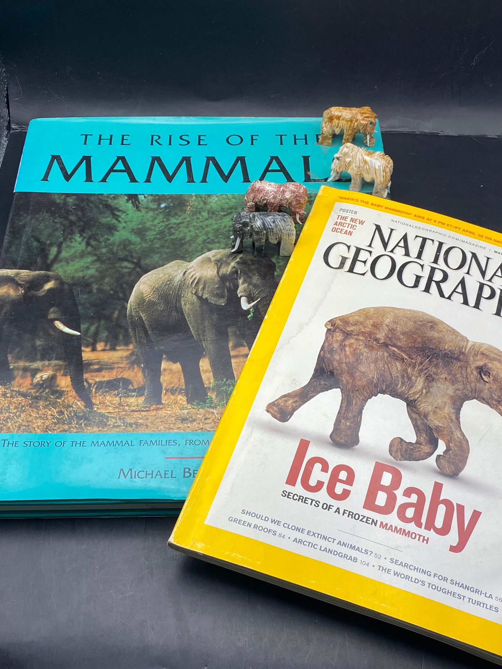 Magazine, Reference, Collectible, Decor, Carving, Mammoth (1 of 4)