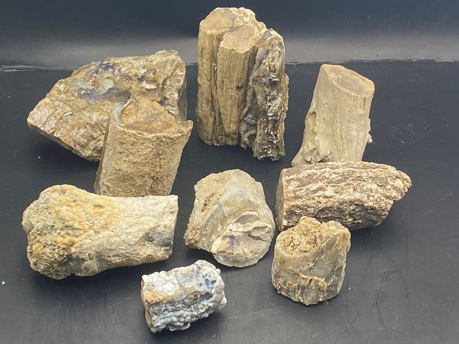 Petrified Wood, Fossil, Rock, Natural, Decor, Collectible,: Petrified Wood Blue Forest 3lb 6oz