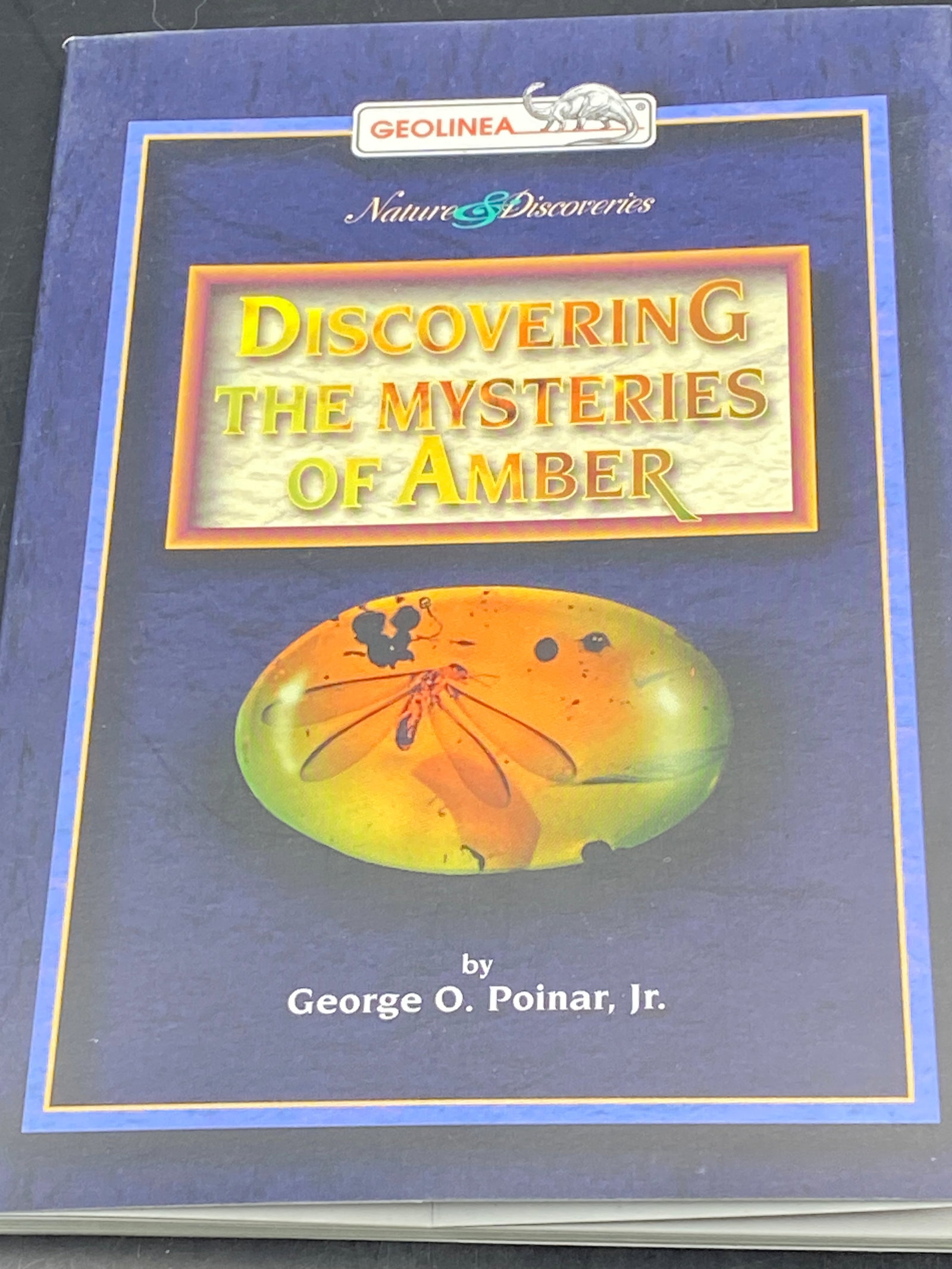 Book, Reference, Collectible, Decor, Amber (1 of 5)