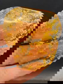 Amber, Fossil, Natural, Collectible, Specimen, Insect