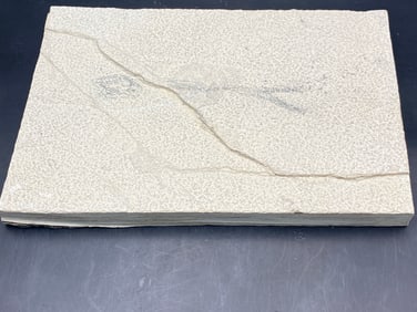 Fish, Fossil, Rock, Natural, Decor, Collectible, Unprepped, Green River Formation,