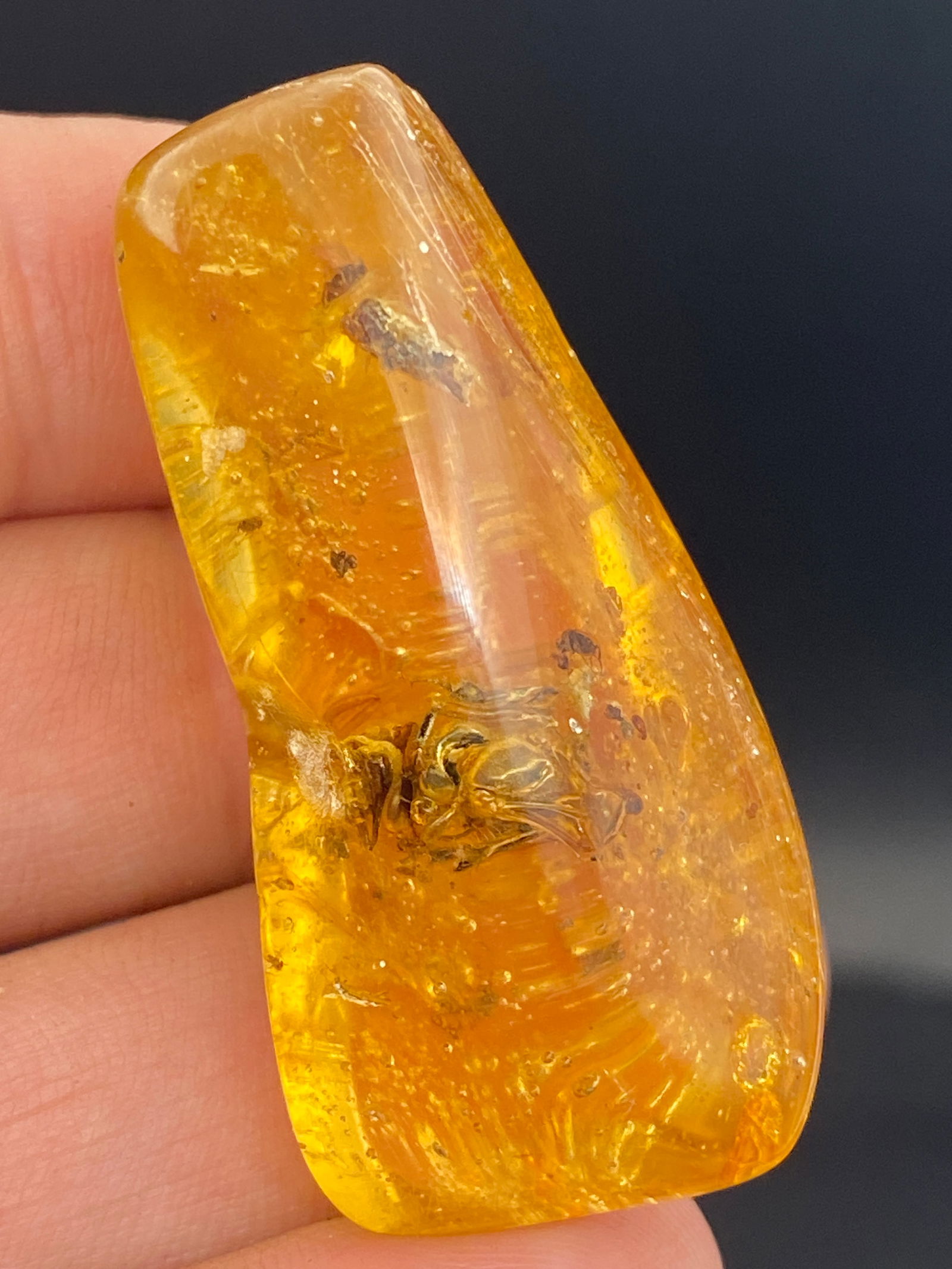 Amber, Fossil, Natural, Collectible, Specimen, Insect, Spider (1 of 4)