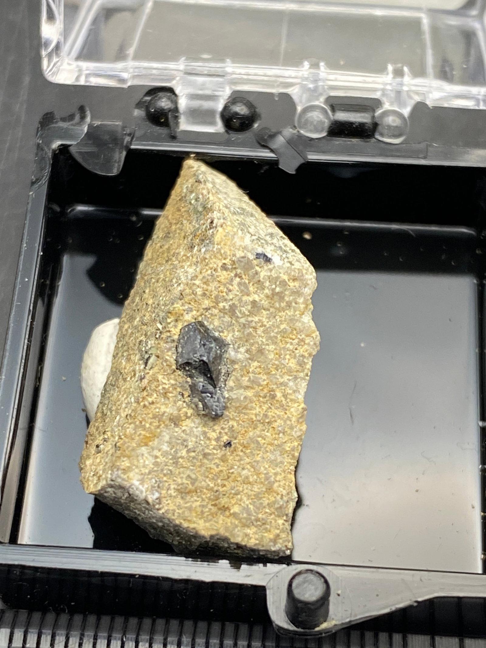 Rock, Crystal, Natural, Collectible, Mineral, Specimen: Anatase Magnet Cove, AR Charlie Hall Collection