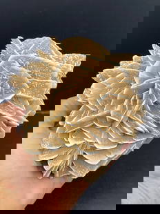 Rock, Crystal, Natural, Collectible, Mineral, Specimen: Gypsum Desert Rose Mexico 1lb 12oz