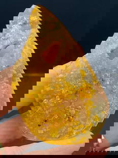 Amber, Fossil, Natural, Collectible, Specimen, Insect: Amber (Copal) with Insect Inclusions Colombia 19g