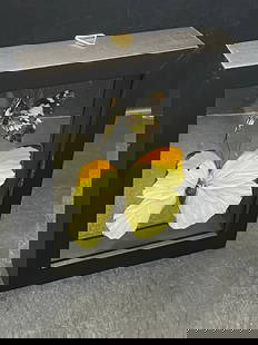 Butterfly, Natural, Decor, Collectible, Insect: Framed Butterflies 2 Species