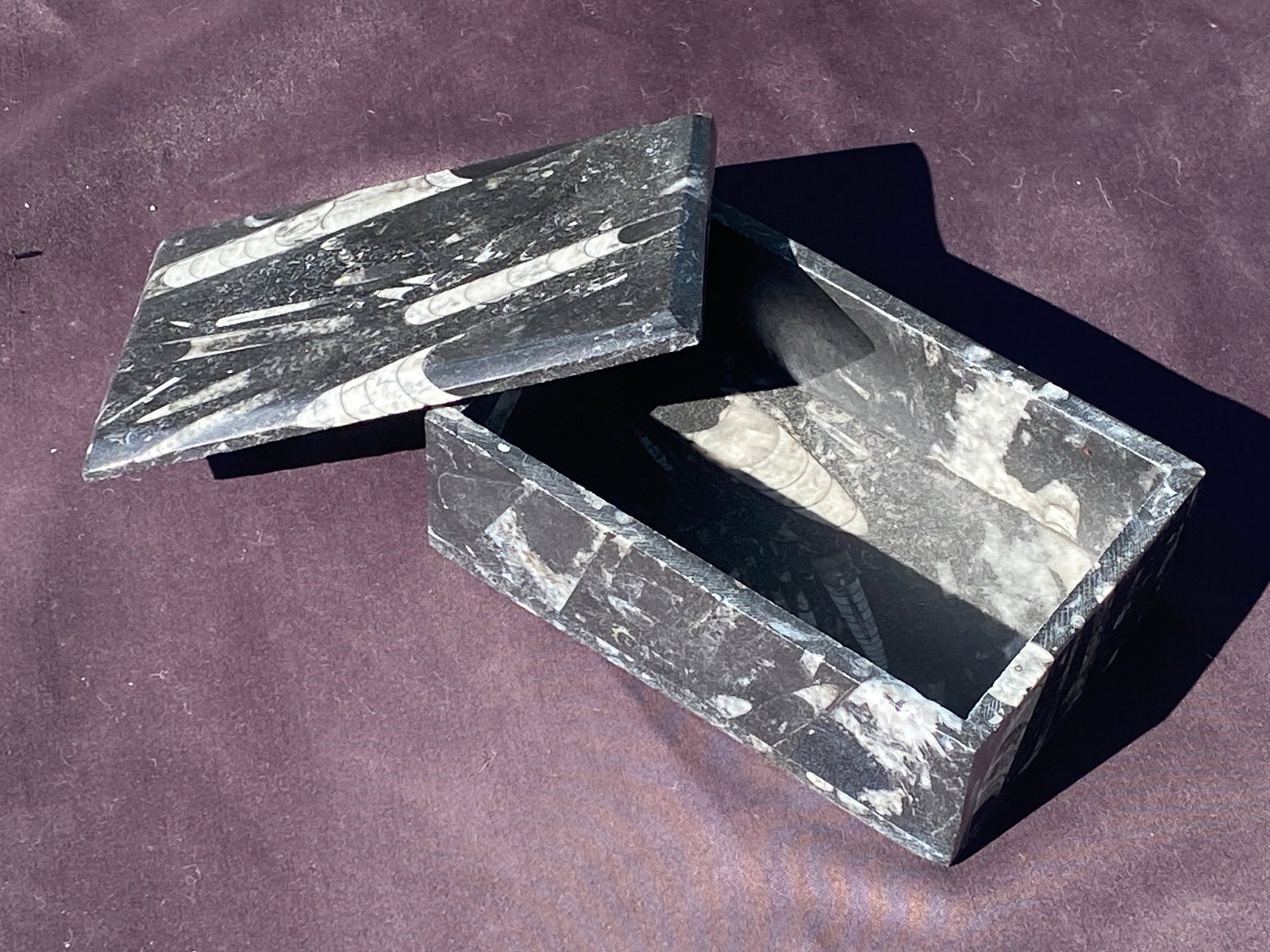 Orthoceras, Fossil, Rock, Natural, Decor, Collectible, Box (1 of 4)