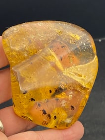 Amber, Fossil, Natural, Collectible