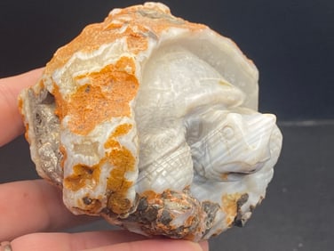 Agate, Carving, Natural, Decor, Turtle