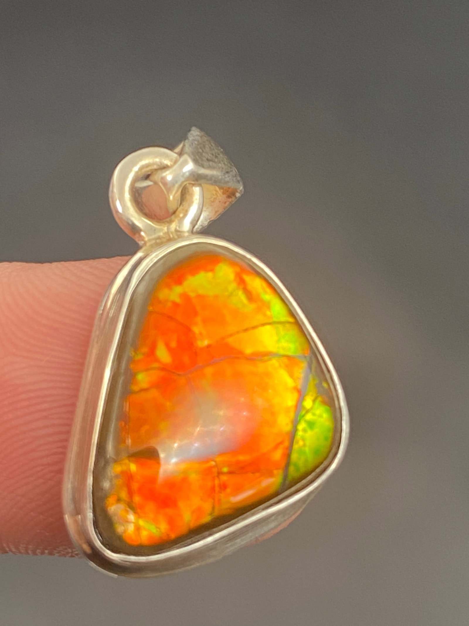 Ammonite, Fossil, Natural, Sterling, Jewelry: Ammolite Sterling Silver Pendant