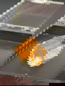 Rock, Crystal, Natural, Collectible, Mineral, Specimen