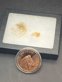 Mammoth, Fossil, Natural, Collectible, Specimen