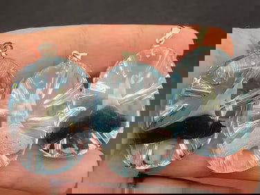 Fossil, Tooth, Collectible, Specimen