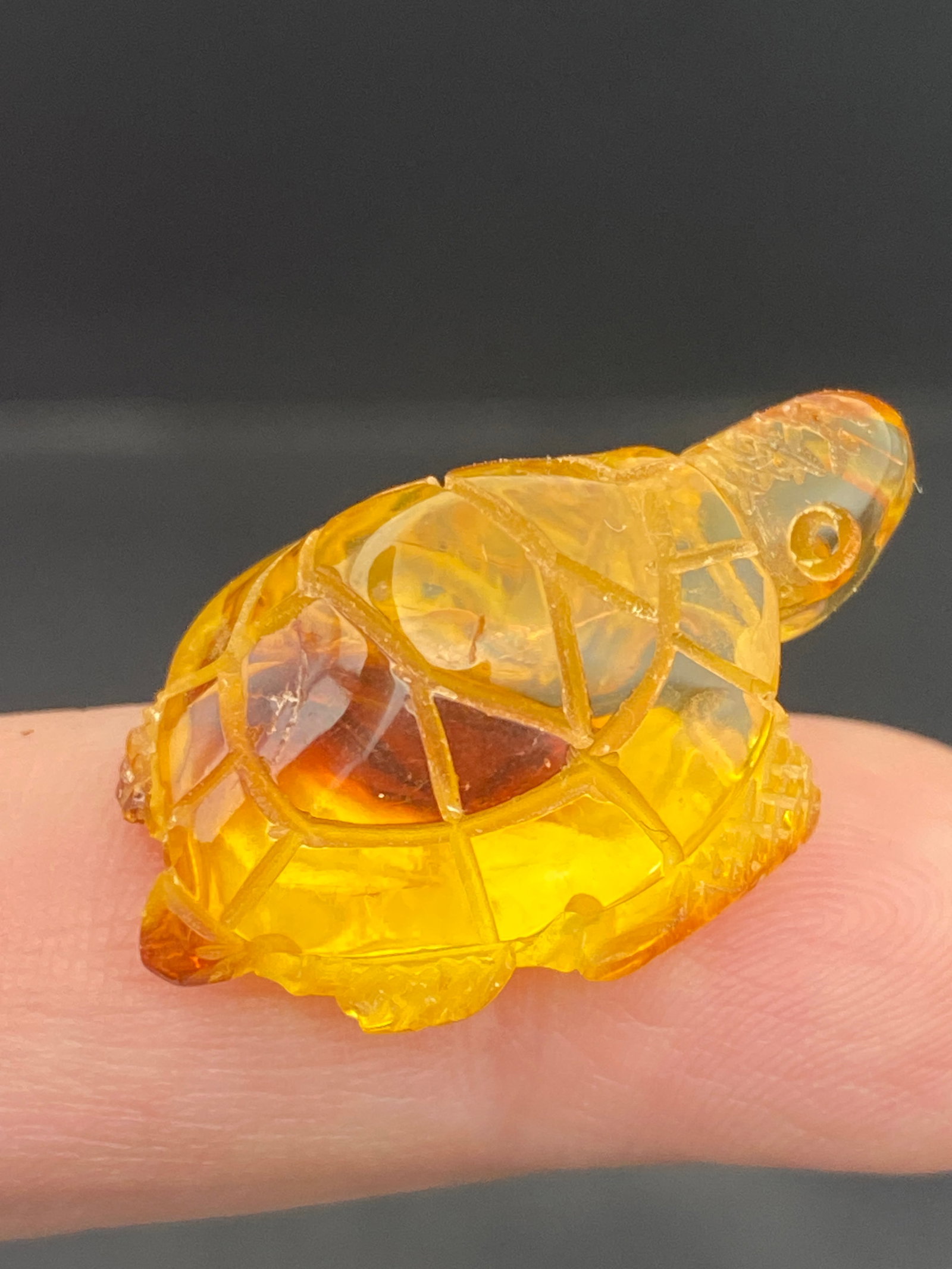 Fossil, Natural, Collectible, Carving, Turtle: Turtle Baltic Amber Lithuania 40 M.Y.O.