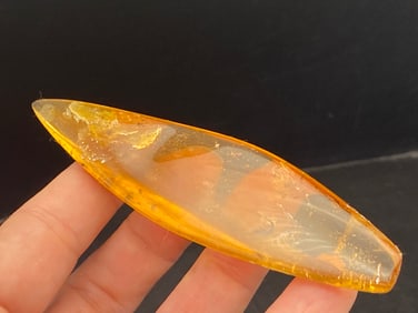 Amber, Fossil, Natural, Collectible