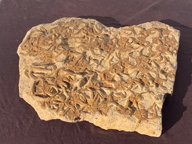 Fossil, Rock, Collectible, Specimen, Starfish