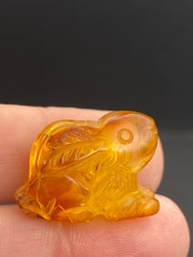 Amber, Fossil, Natural, Collectible