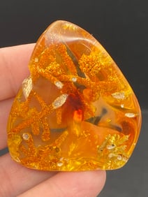 Amber, Fossil, Natural, Collectible