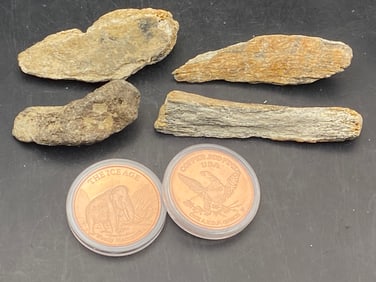 Fossil, Natural, Collectible, Specimen, Hair, Mammoth