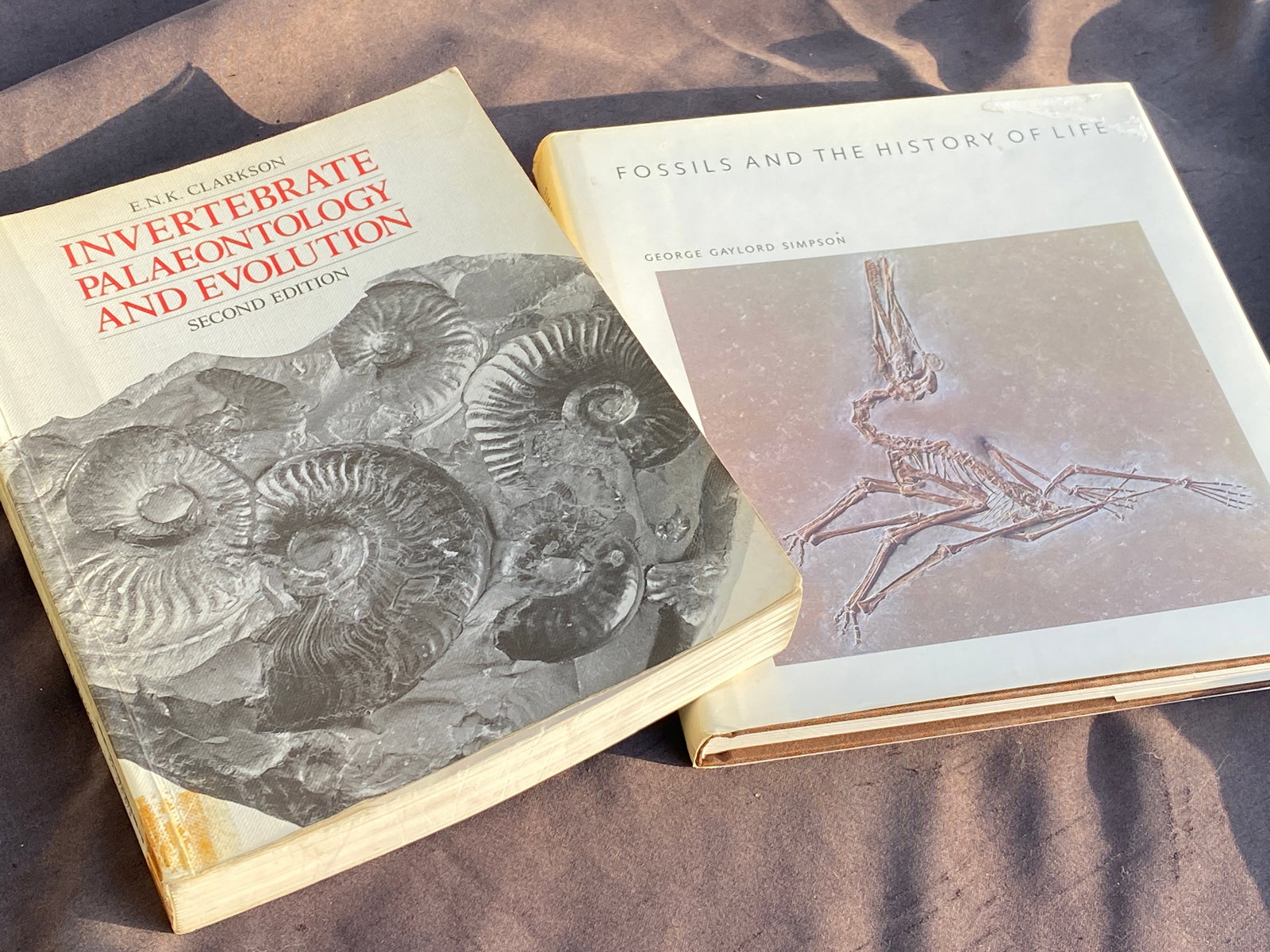 Book, Collectible, Reference: 2 Fossil Texts "Invertebrate Paleontology" & "Fossils and the History of Life"