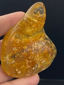 Amber, Fossil, Natural, Collectible