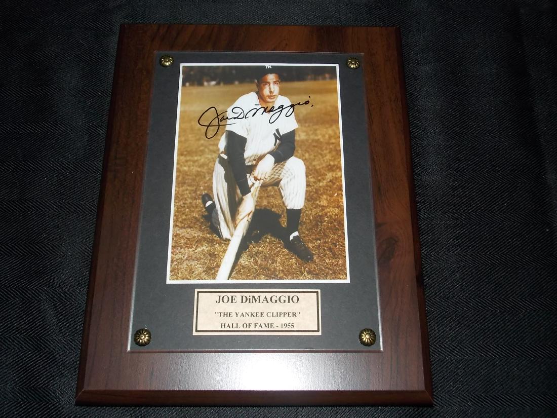 Joe DiMaggio (1 of 1)