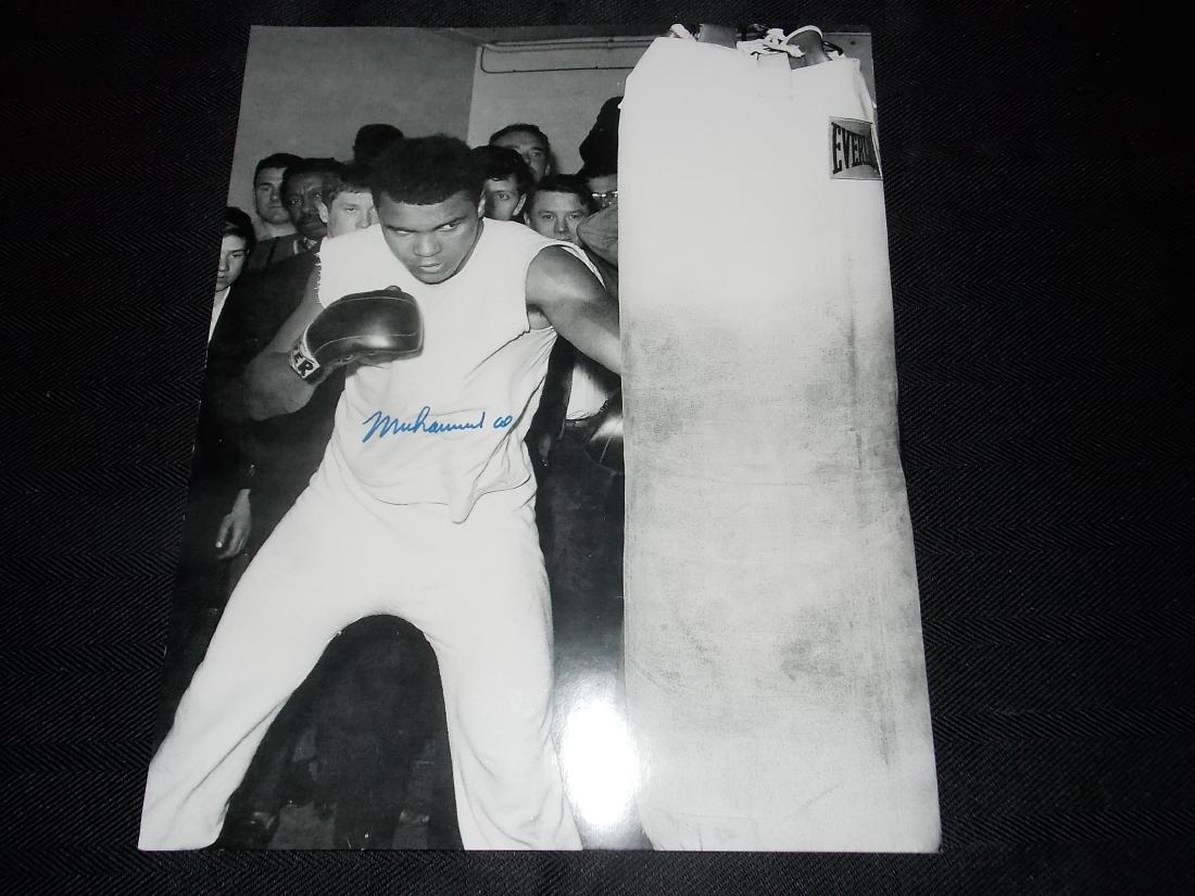 Muhammid Ali (1 of 1)