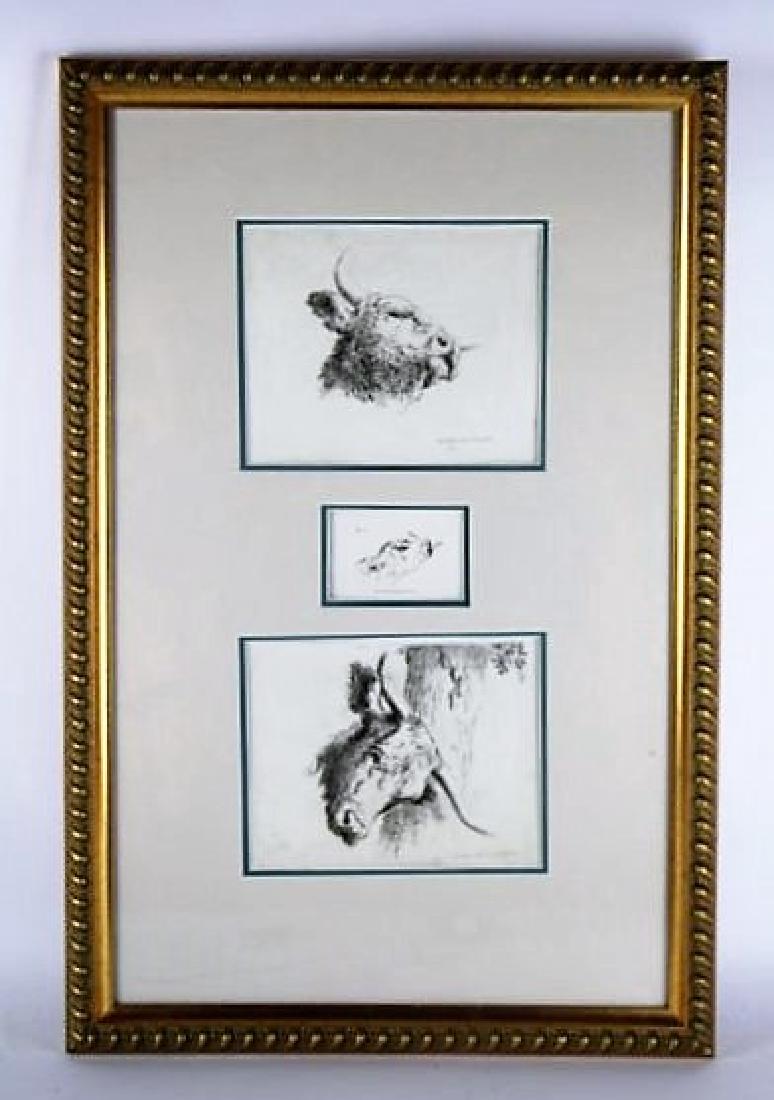 THREE 18TH C. ETCHINGS OF BULLS BY ROBERT HILLS: THREE 18TH C. ETCHINGS OF BULLS BY ROBERT HILLS3 individual etchings framed together in 1 frame depicting bulls heads and dated 1798, and 1 dated 1799. Frame size 61 x 40 cm. (24 x 16 in.)
