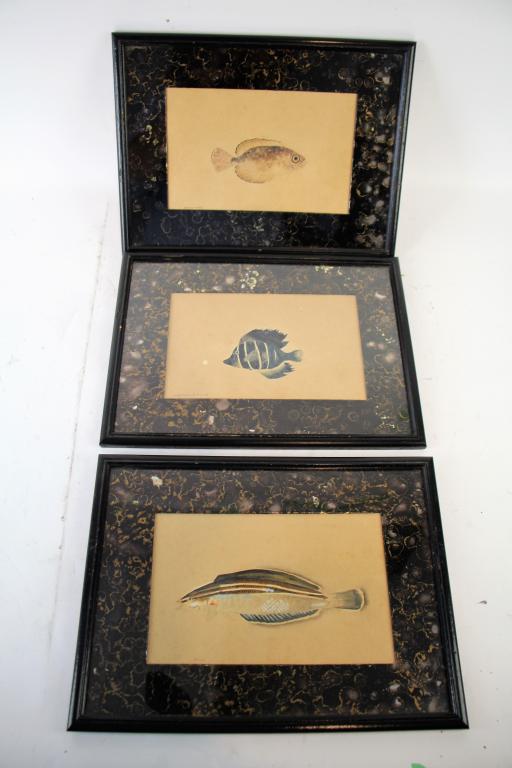 THREE AQUATIC WATER COLOUR PAINTINGS (1 of 10)