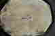 item-48060147=5