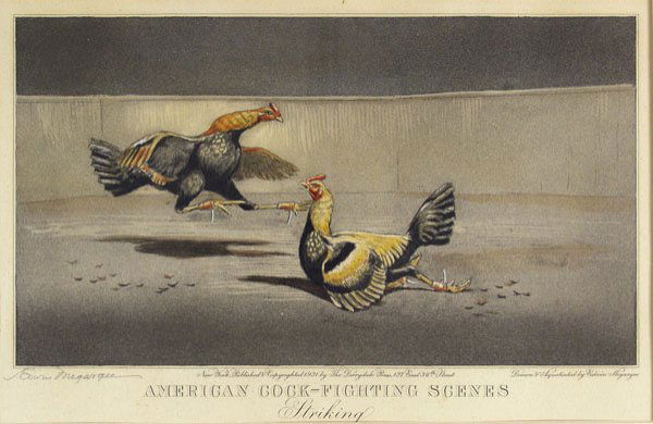 EDWIN MEGARGEE (American) Etching with aquatint: Edwin Megargee (American, 1883 - 1958) American Cock Fighting Scenes: Striking. Etching with aquatint. 1931. Signed in pencil, lower left. Fine impression. 6 1/8 x 11 in. (156 x 279 mm). Apparently in